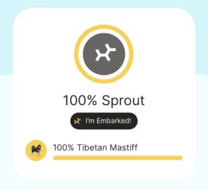 Embark breed results for Sprout show she is 100% Tibetan Mastiff
